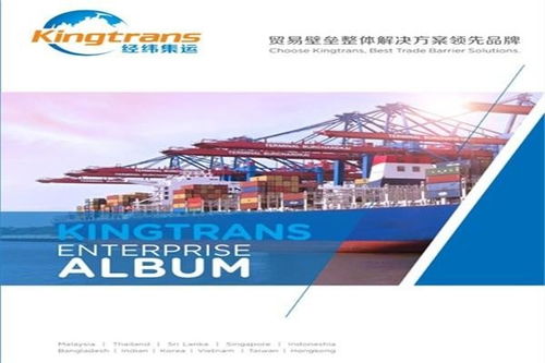 湛江企業(yè)在國內(nèi)貿(mào)易代理中規(guī)避平軋反傾銷風(fēng)險(xiǎn)的策略分析